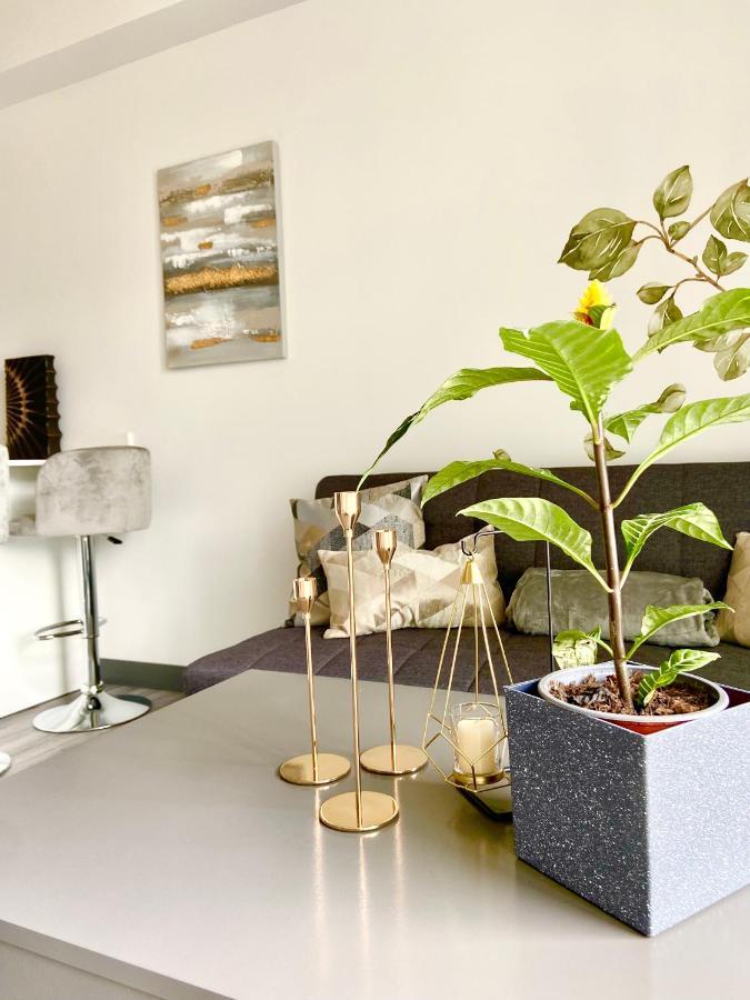 Comodo Y Elegante Apartamento En Fabuloso Condo! San Jose  Exterior foto